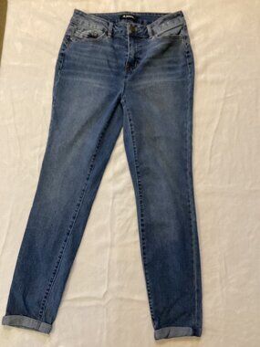 d.jeans High Rise Straight Leg Stretch Jeans Size 2